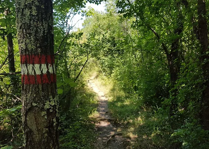 Jadranovo Casa vacanze *